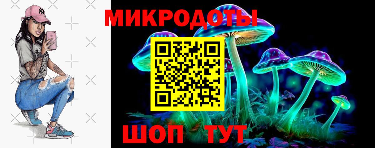 Сертолово  продажа наркотиков  Вход с VPN  Галлюциногенные грибы Psilocybine cubensis 