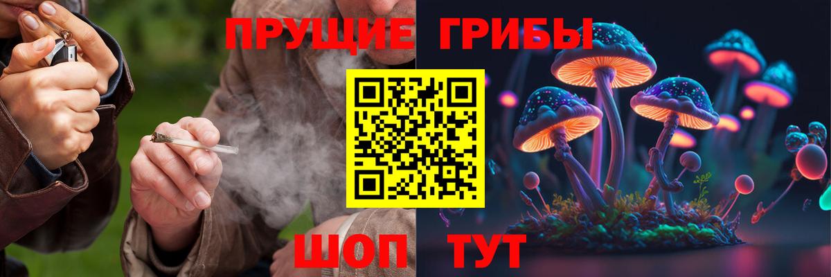 Псилоцибиновые грибы MAGIC MUSHROOMS Сертолово